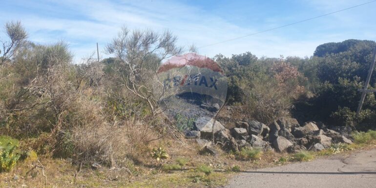 20251219142059-1011471-11