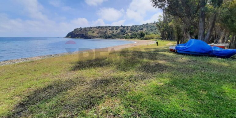 20251221153025-1011398-20