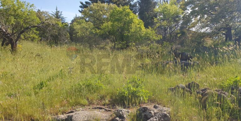 20251223170049-1012322-0