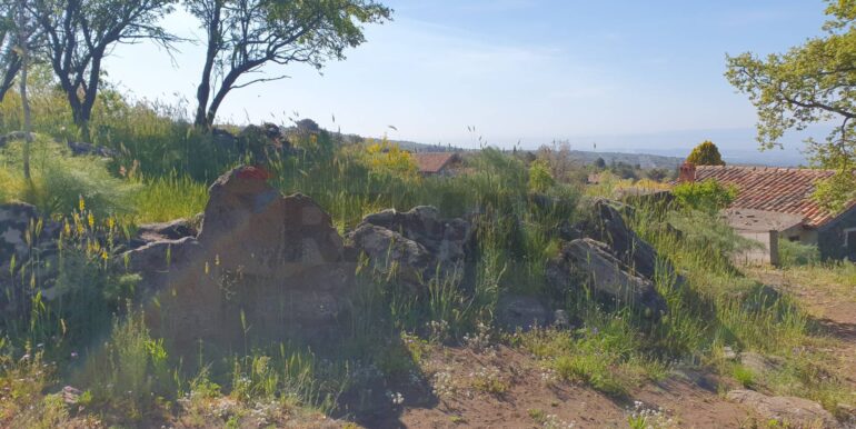 20251223170049-1012322-1