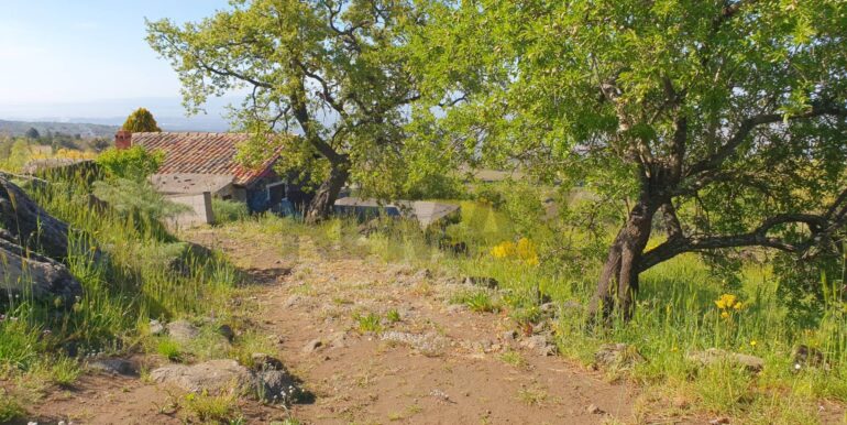 20251223170049-1012322-2