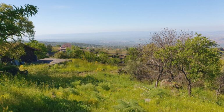 20251223170050-1012322-3