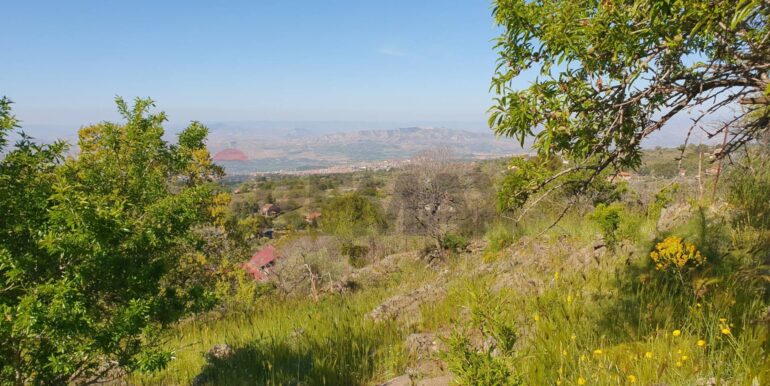 20251223170050-1012322-4