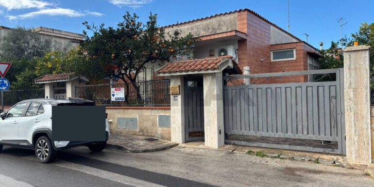 f0867302001766059268