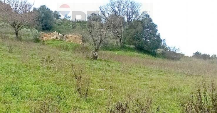 20220119170055-634515-7