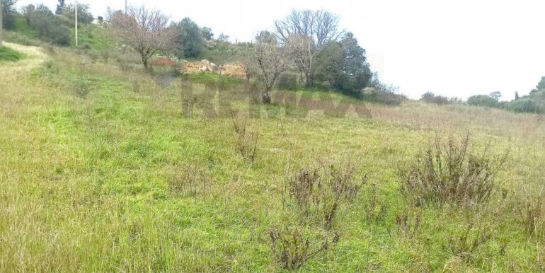 20220119170556-634515-8