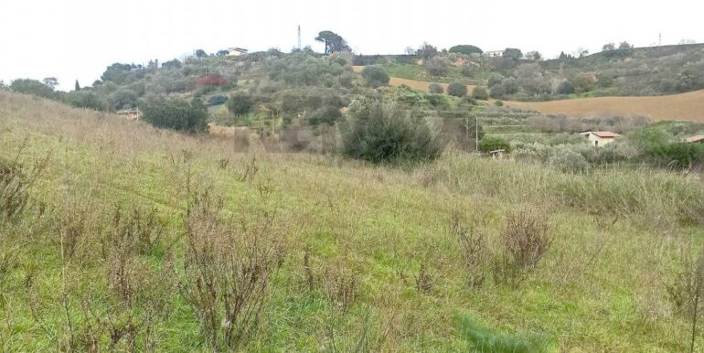 20220119170604-634515-9