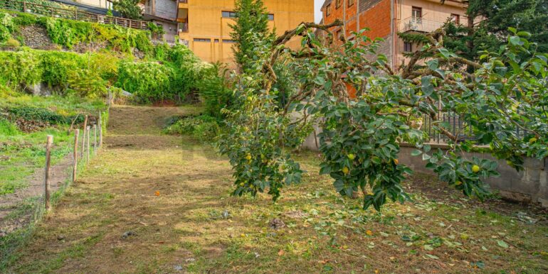 20221020190509-704056-19