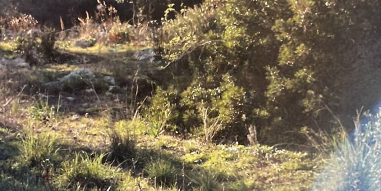 20221223140616-714382-3