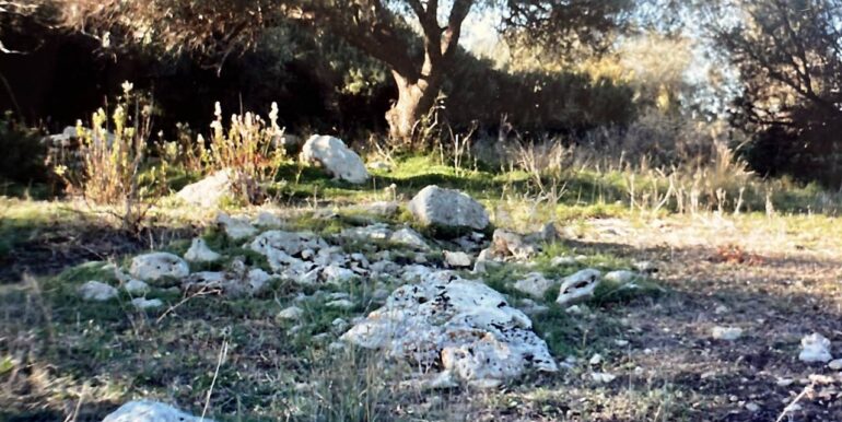 20221223140625-714382-8