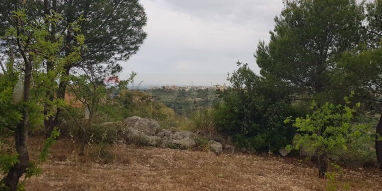 20230524110015-755962-1