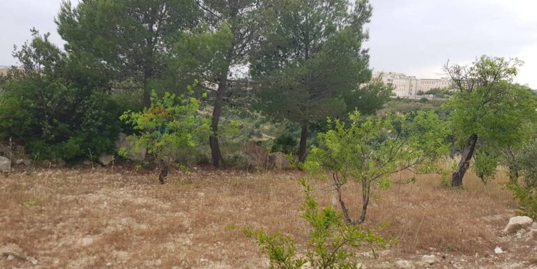 20230524110016-755962-2