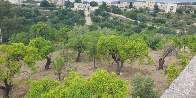 20230524110026-755962-8