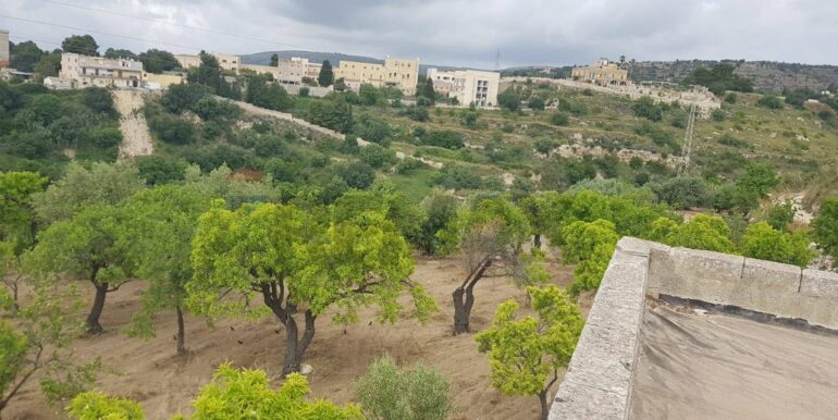 20230524110028-755962-9