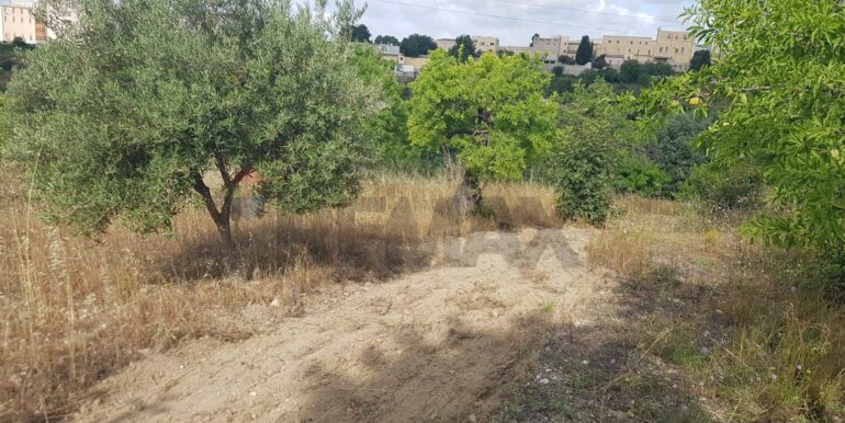 20230524110033-755962-12