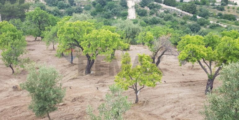 20230524110038-755962-15