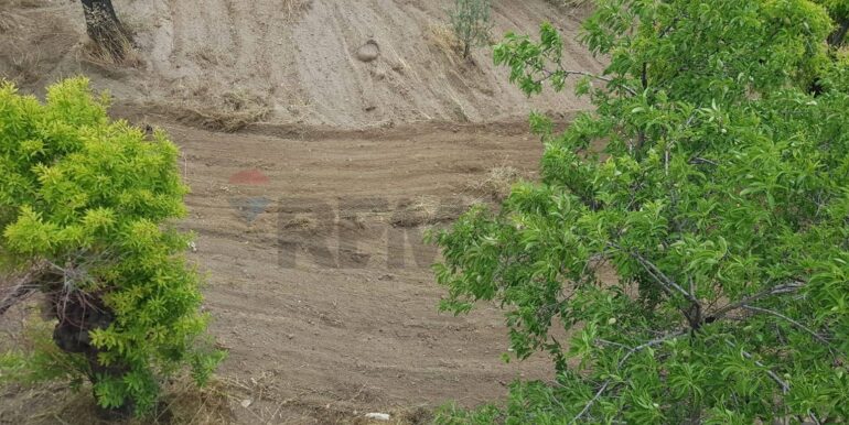 20230524110042-755962-17