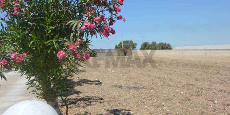 20230629103009-773039-6