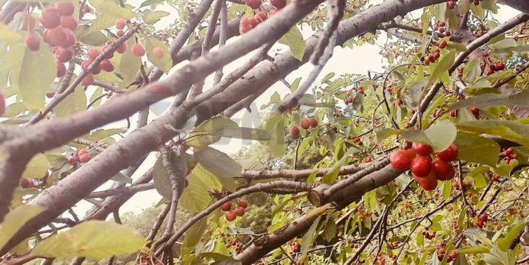 20230714134454-777586-6