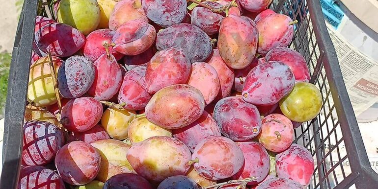 20230828125157-777586-10