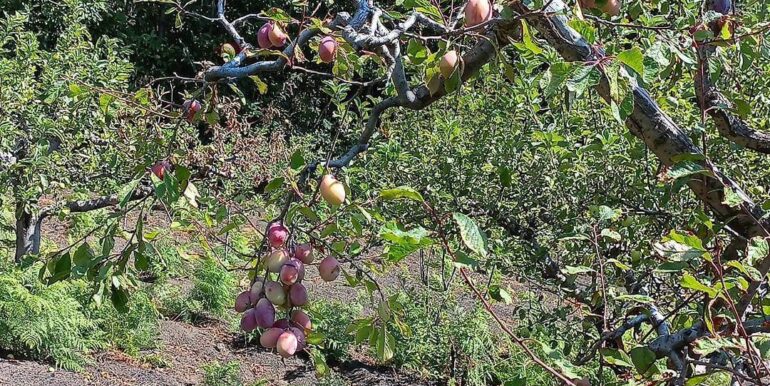 20230828125159-777586-11