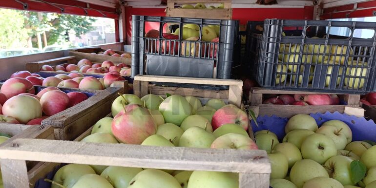 20230828125454-777586-13