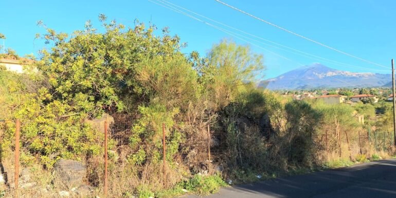 20231006162032-794894-7