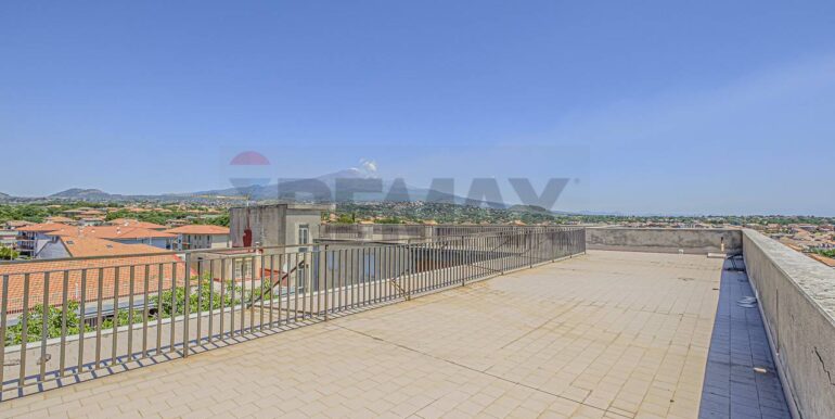 2023101391126-796313-0