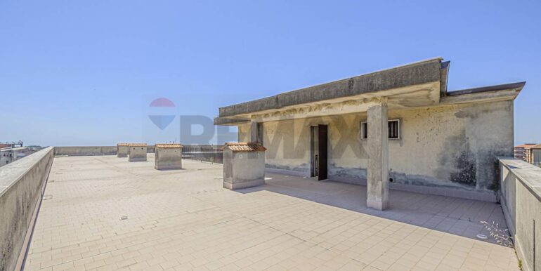 2023101391127-796313-1