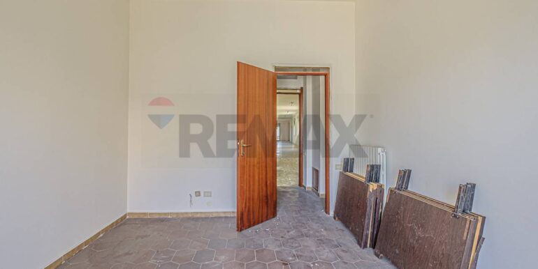 2023101391127-796313-3