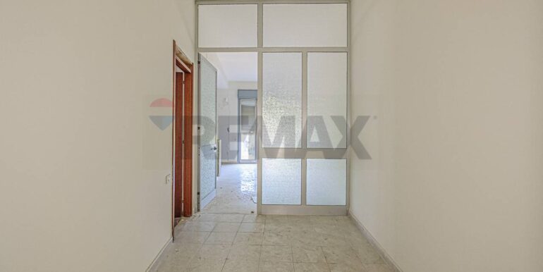 2023101391127-796313-4