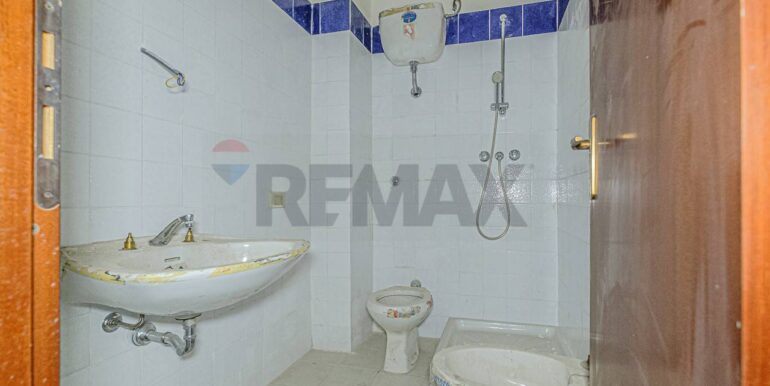 2023101391127-796313-5