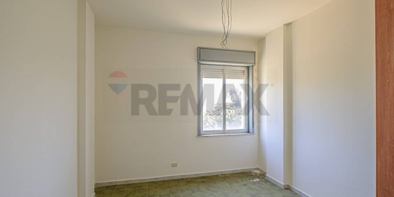 2023101391127-796313-6