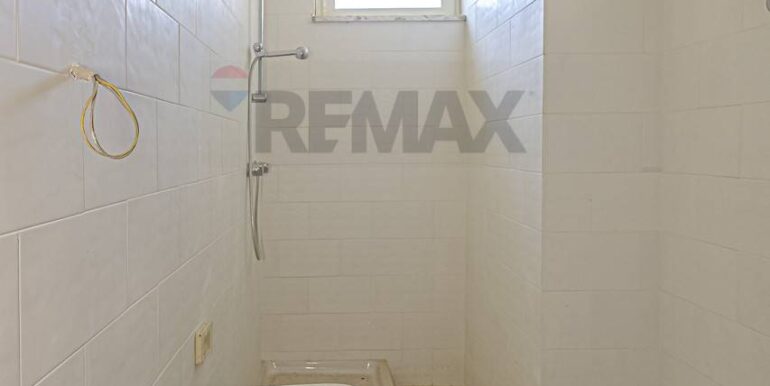 2023101391127-796313-8