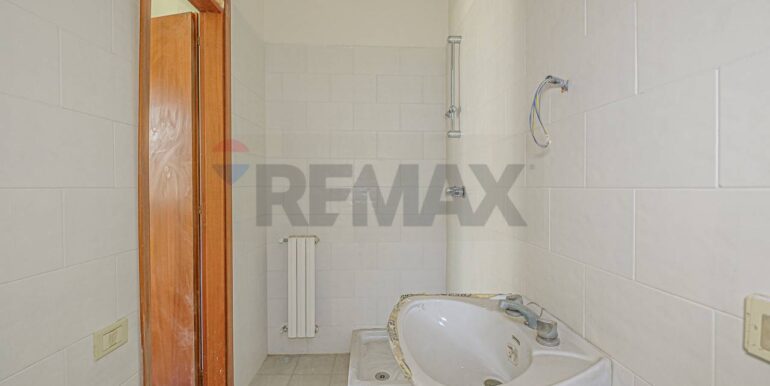 2023101391128-796313-11