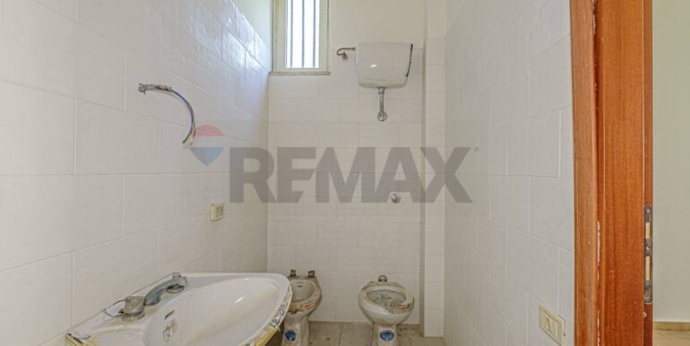 2023101391128-796313-12