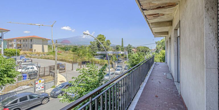 2023101391128-796313-14