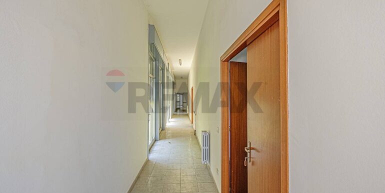 2023101391129-796313-16