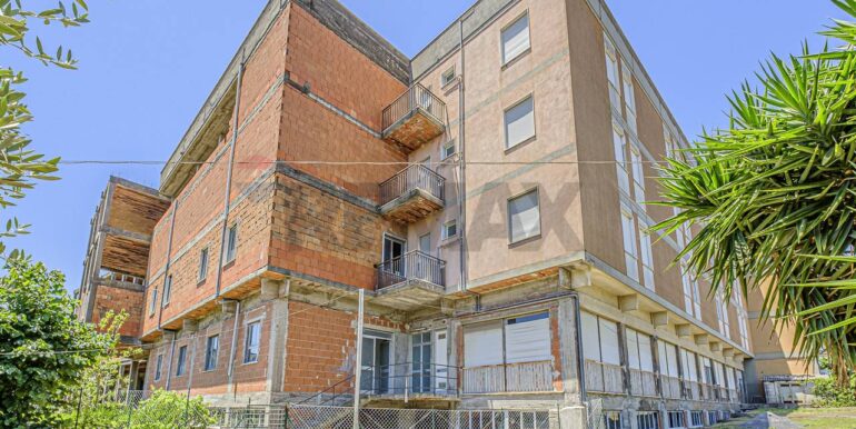 2023101391130-796313-22