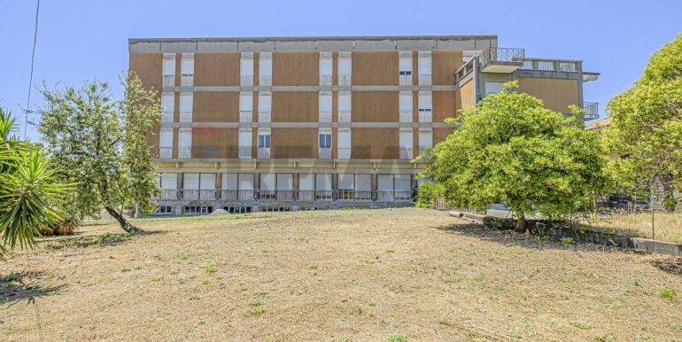 2023101391130-796313-23