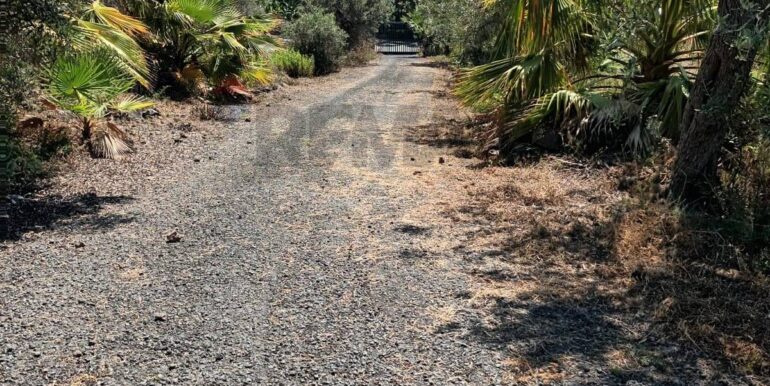 20231107181138-802495-2