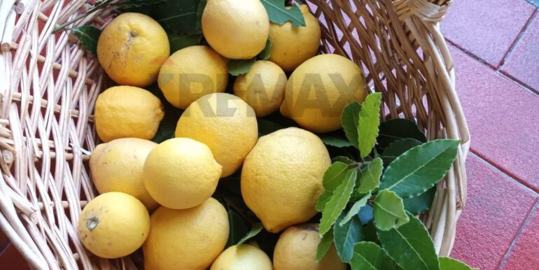 20231107181142-802495-4