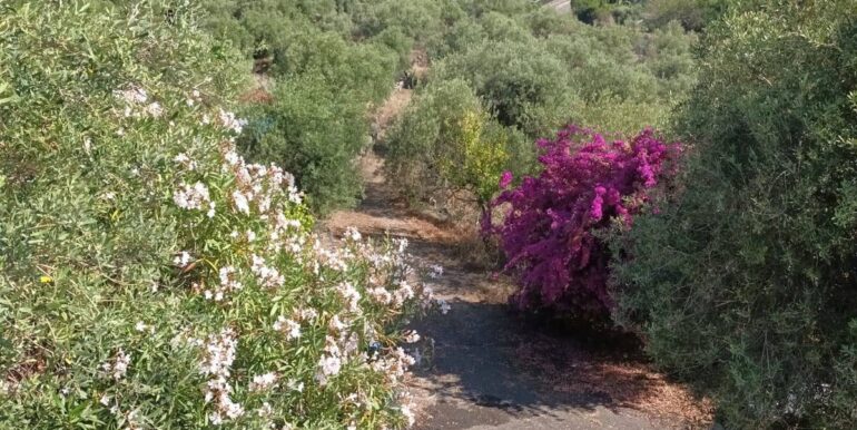 20231107181144-802495-5