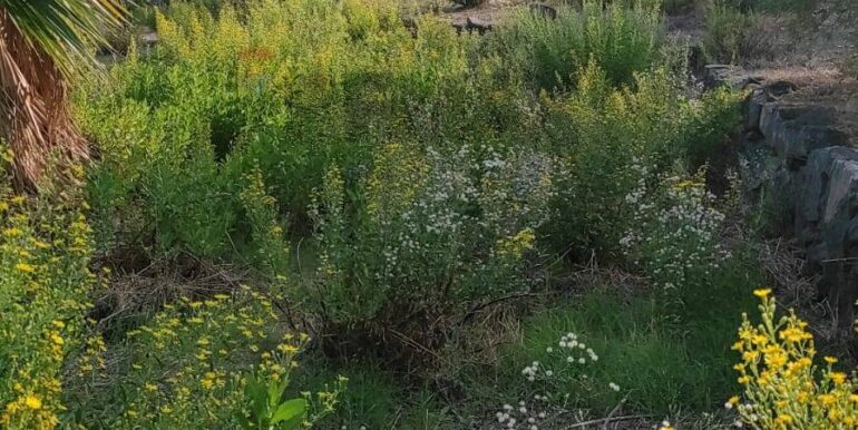 20231107181158-802495-10