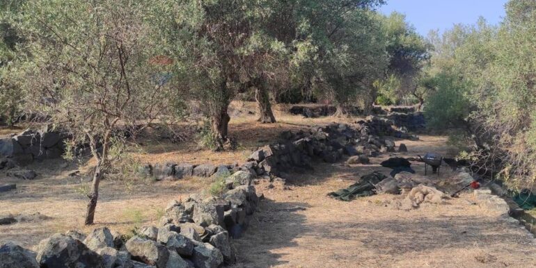 20231107182505-802495-16