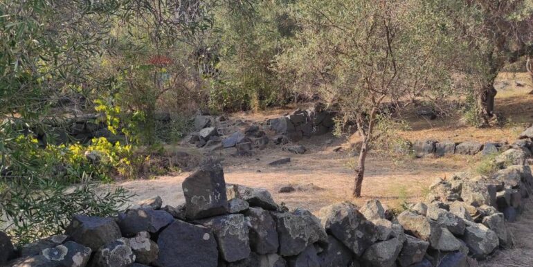 20231107182507-802495-17