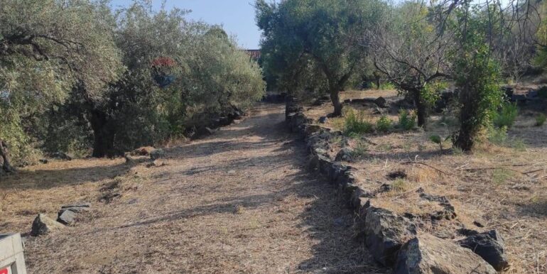 20231107182509-802495-18