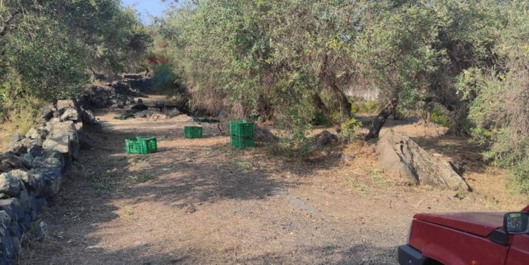 20231107182511-802495-19