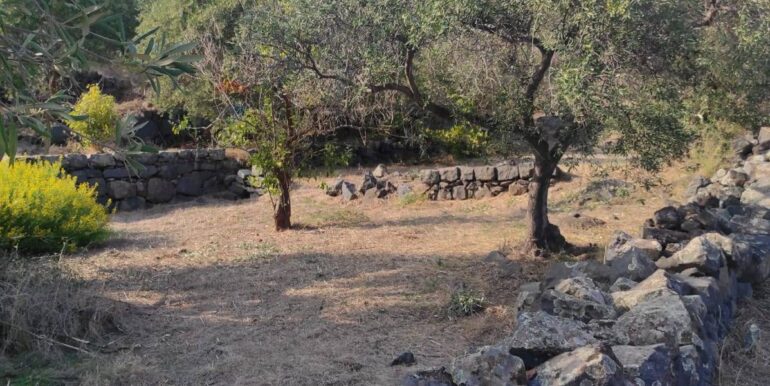 20231107182513-802495-20