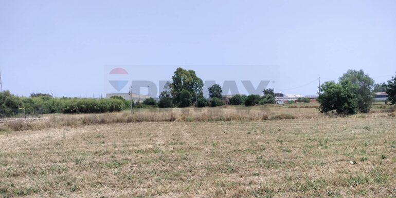 20231127222915-811572-4